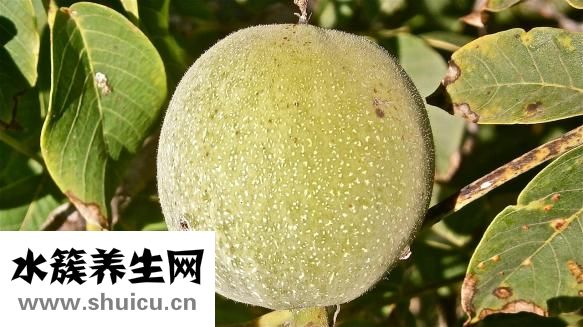 申宮天孤星怎么破解