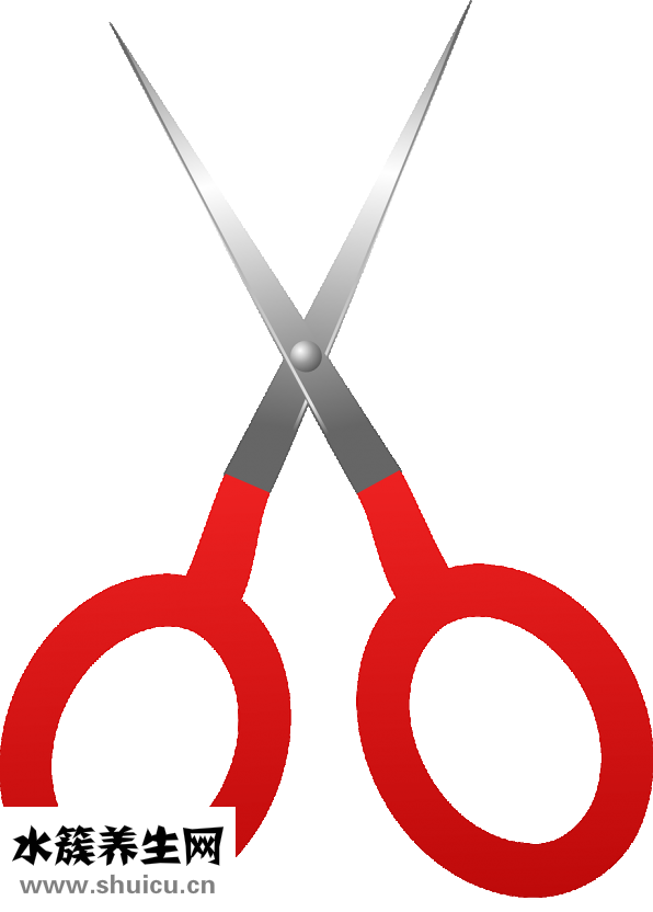 留下吧胡子怎么留