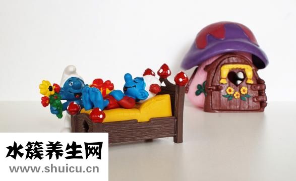 怎么看薩摩耶的年齡