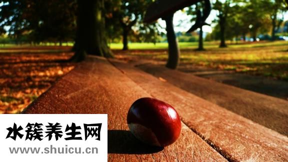 糖炒板栗怎么保存