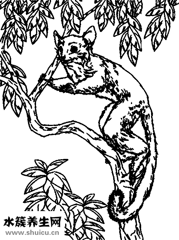 嬰兒胎發怎么保存