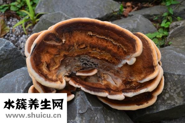 蘑菇街怎么看曬貨