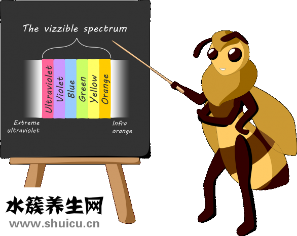 老師和學生怎么了