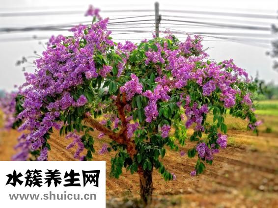 怎么還不愛(ài)