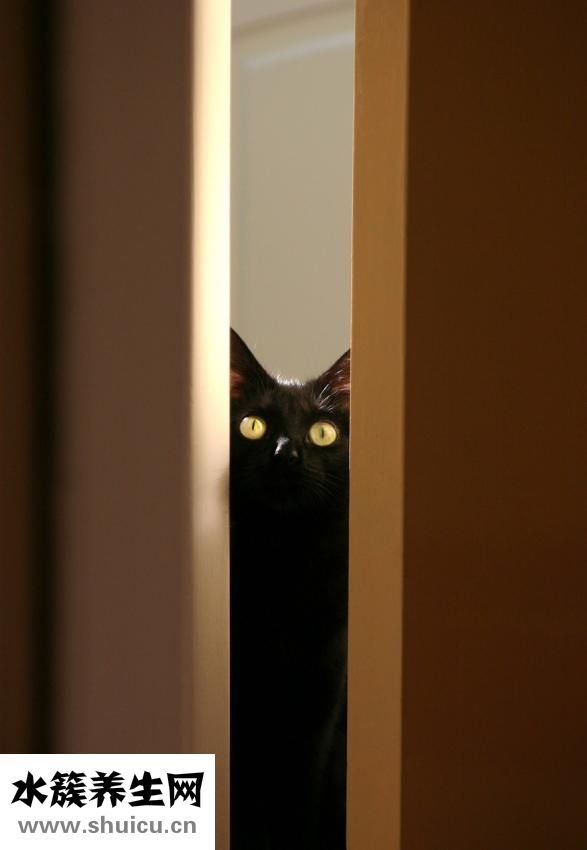 散著頭發(fā)怎么