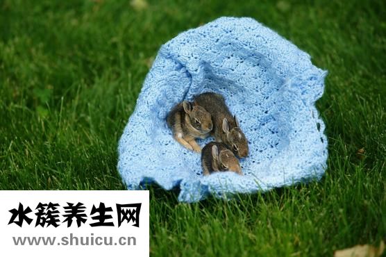 新生兒有馬牙怎么辦