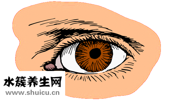 鏡頭里有灰塵怎么辦