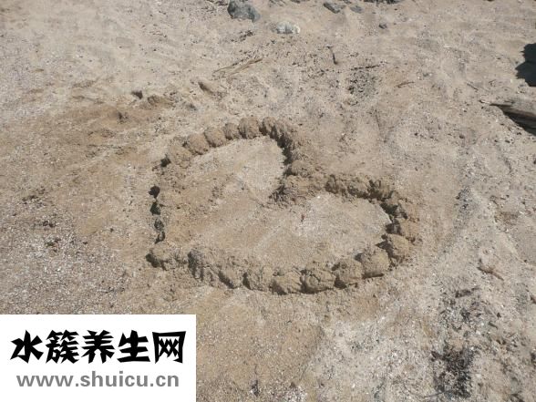 水準點怎么復核