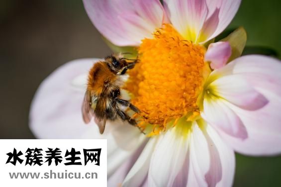 牛肉面怎么做才好吃