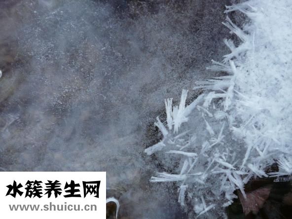 冰鎮水怎么敷臉