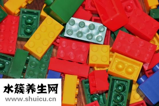 怎么看薩摩耶的年齡