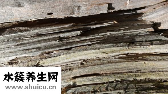 懷孕便秘該怎么辦