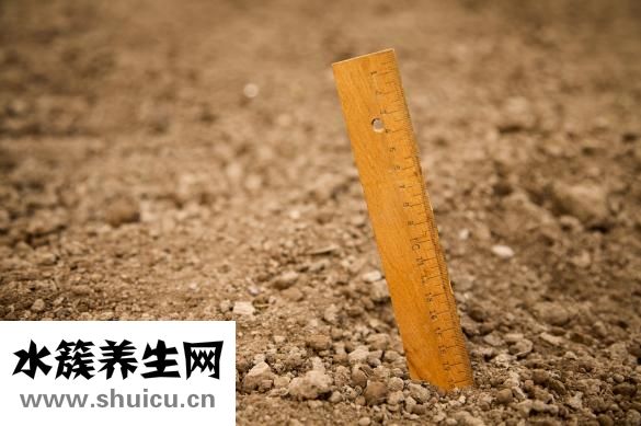 老公很幼稚怎么辦