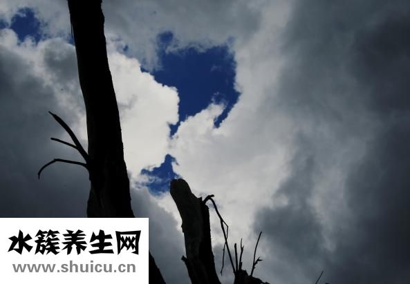 眉毛紋太粗怎么修