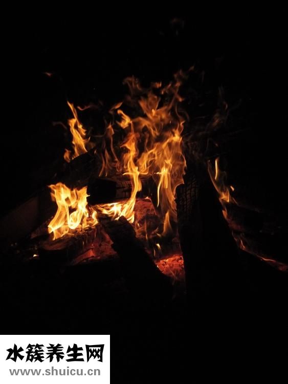 怎么和兔子玩耍