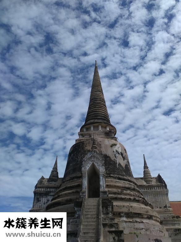 泰國蝸牛霜怎么用