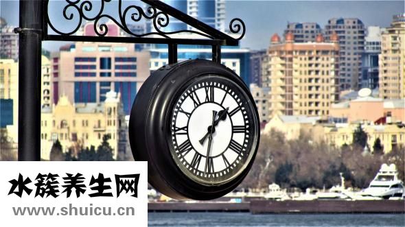 麻杏石甘湯怎么配水