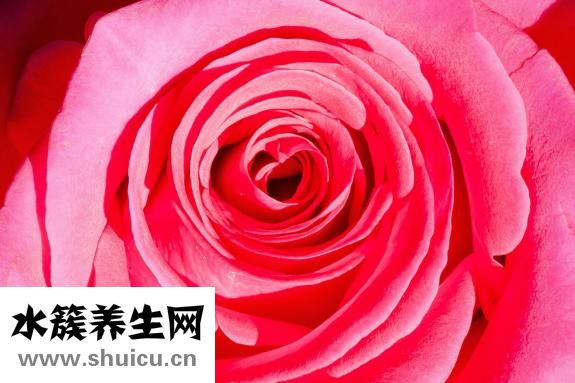 天生黃頭發(fā)怎么回事