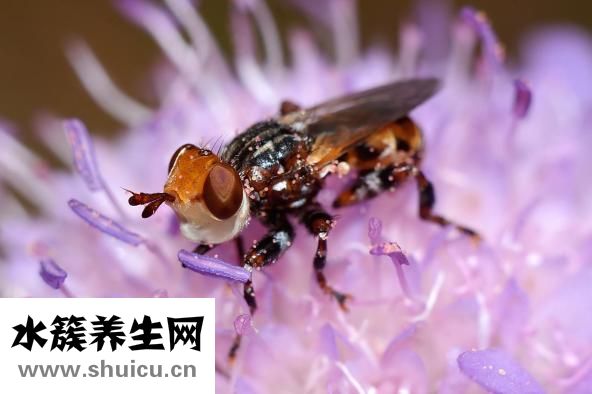 頭發很軟怎么回事