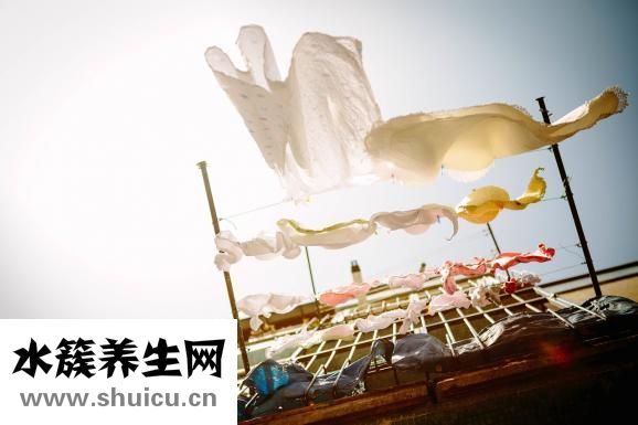 衣服怎么會生蟲