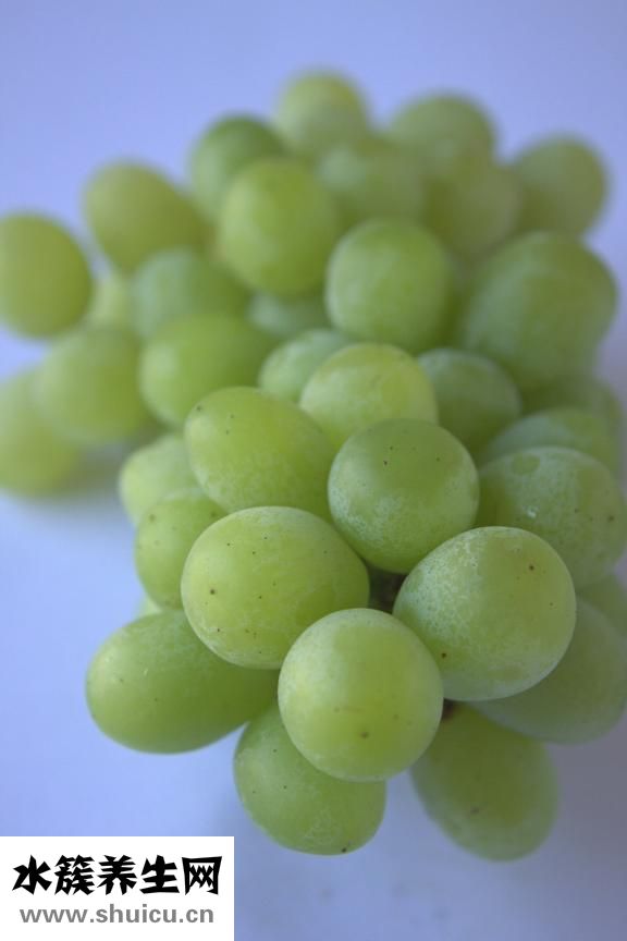 鮮扇貝怎么保存