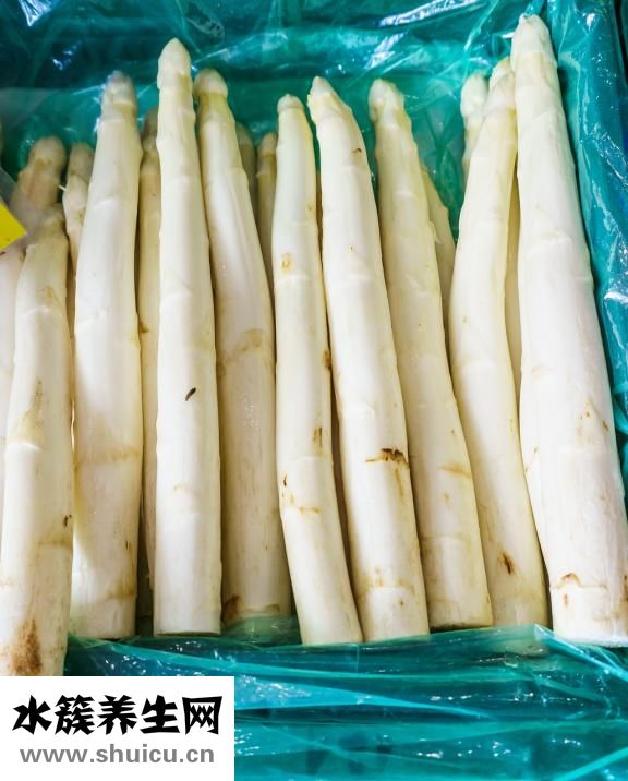 鮮扇貝怎么保存