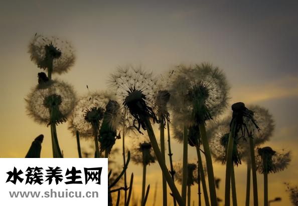 胸下垂松弛怎么辦