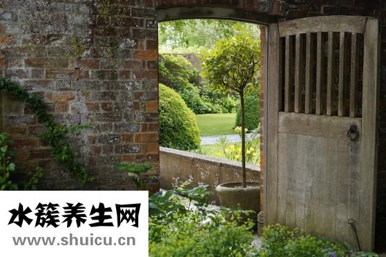 孩子懷的低怎么辦