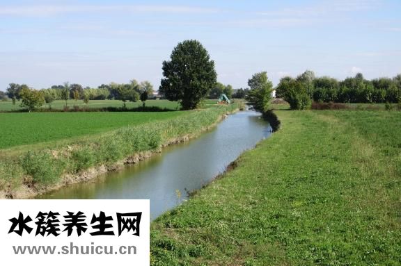 白寇仁治口臭怎么吃