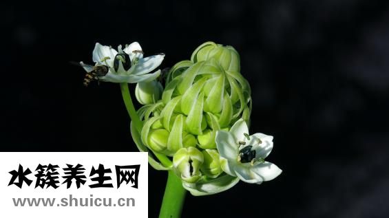 冬天全身脫皮怎么辦