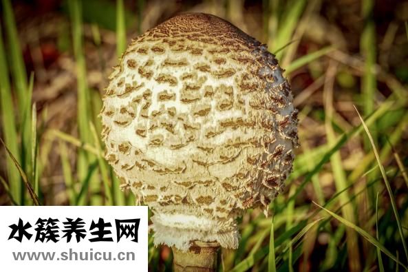 美甲片怎么卸掉