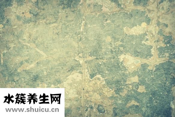 衣服怎么會生蟲