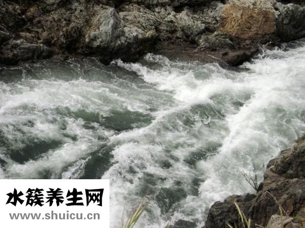 白水煮菜怎么做