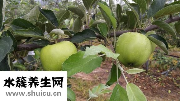 新鮮鴨血怎么煮