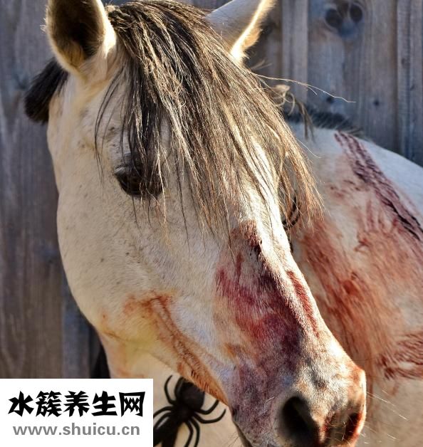 骨頭增生怎么治