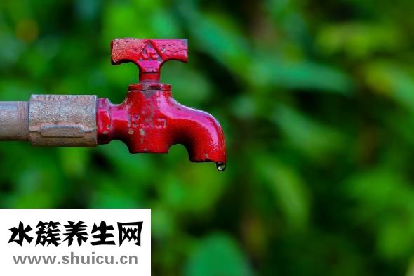 白寇仁治口臭怎么吃