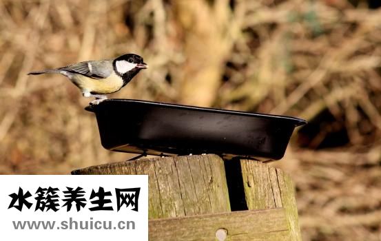 陰道角質(zhì)怎么洗出來