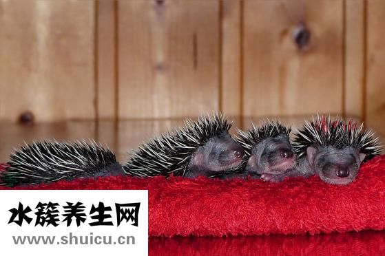 嬰兒胎記怎么去除