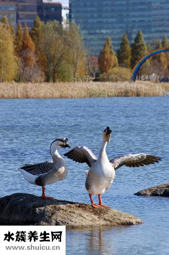 想吃零食怎么辦