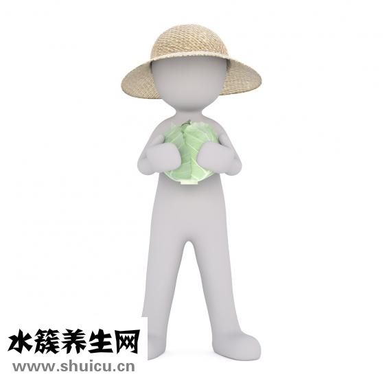 一胎證怎么辦理