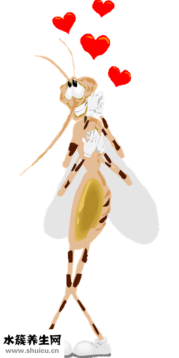 睫毛膏蒼蠅腿怎么辦