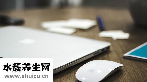 活鮑魚怎么儲存