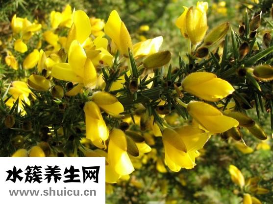 衣服怎么會生蟲