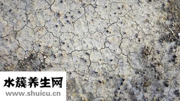 肺部裂紋是怎么回事