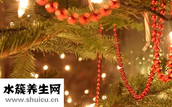 季節性丘疹怎么辦