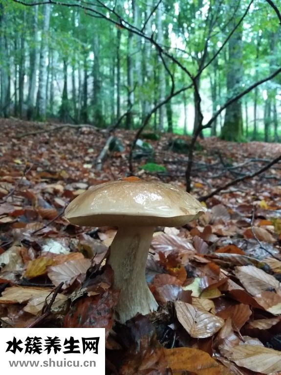 美甲片怎么卸掉