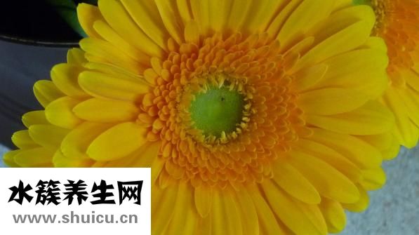 白芝麻怎么炒熟保存