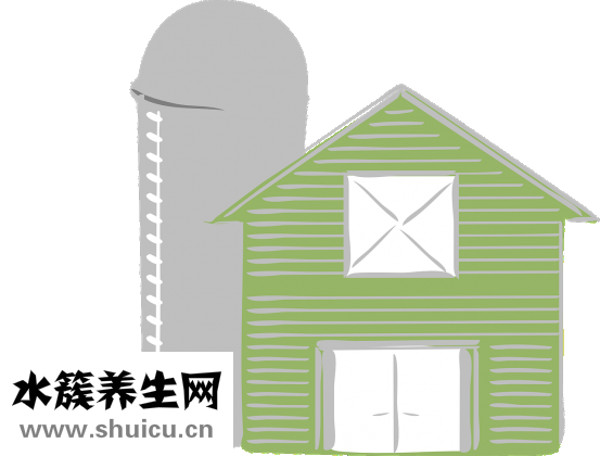 鮮的紅蘑怎么儲存