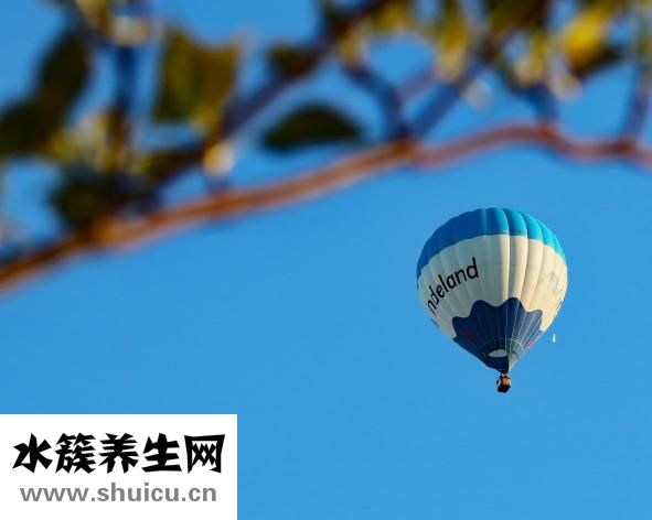 圓臉形怎么扎發好看