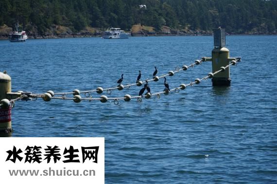 嬰兒黃疸值怎么測